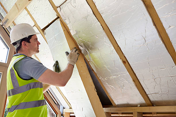 Best Geographic-Specific Insulation Services in Eden, NC